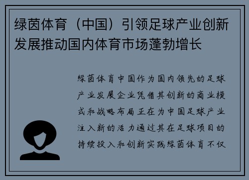 绿茵体育（中国）引领足球产业创新发展推动国内体育市场蓬勃增长